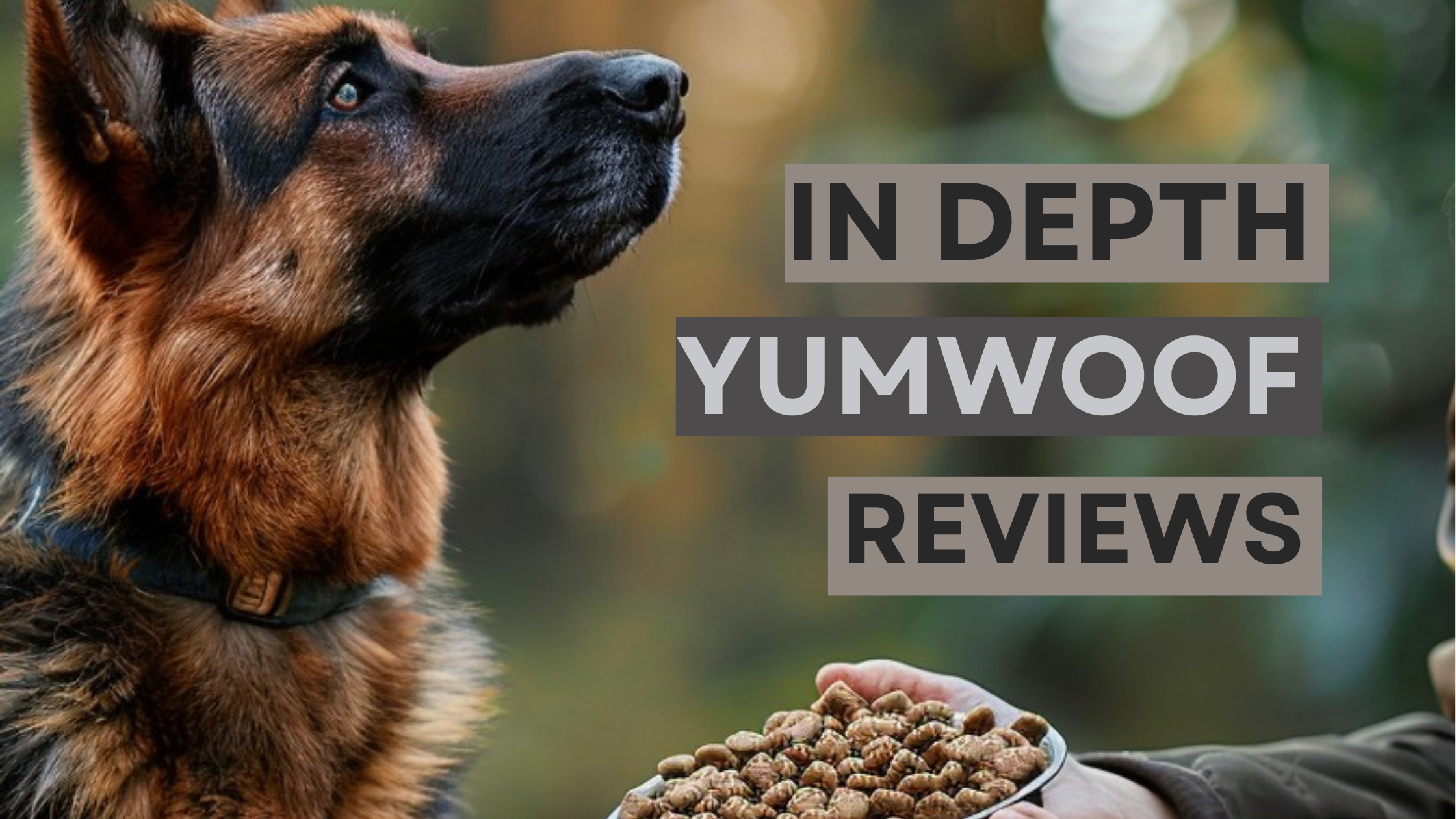 yumwoof reviews