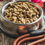 kibble for dogs