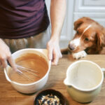 homemade dog food recipes