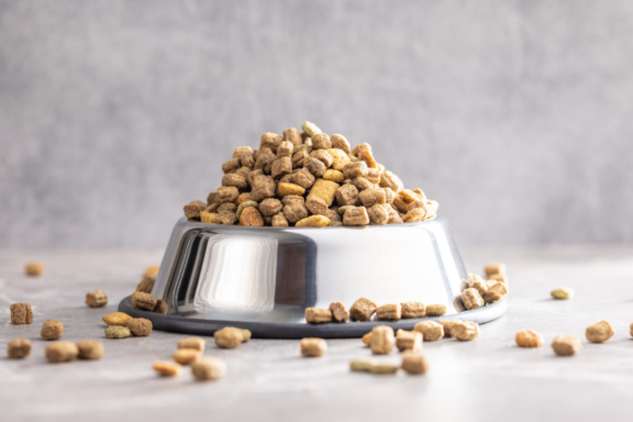 dog food nutrition facts