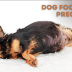 best dog food for pregnant dogs