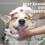 Best Shampoo foe dogs with sensitive skin