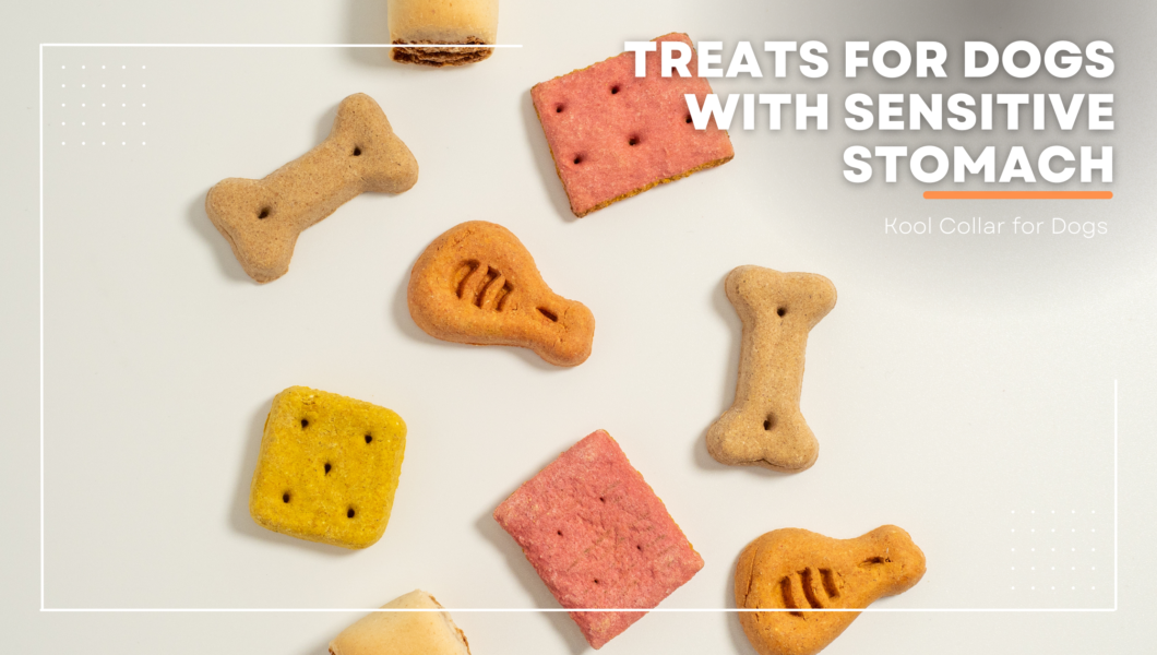 treats for dogs with sensitive stomachs