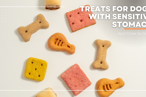 treats for dogs with sensitive stomachs