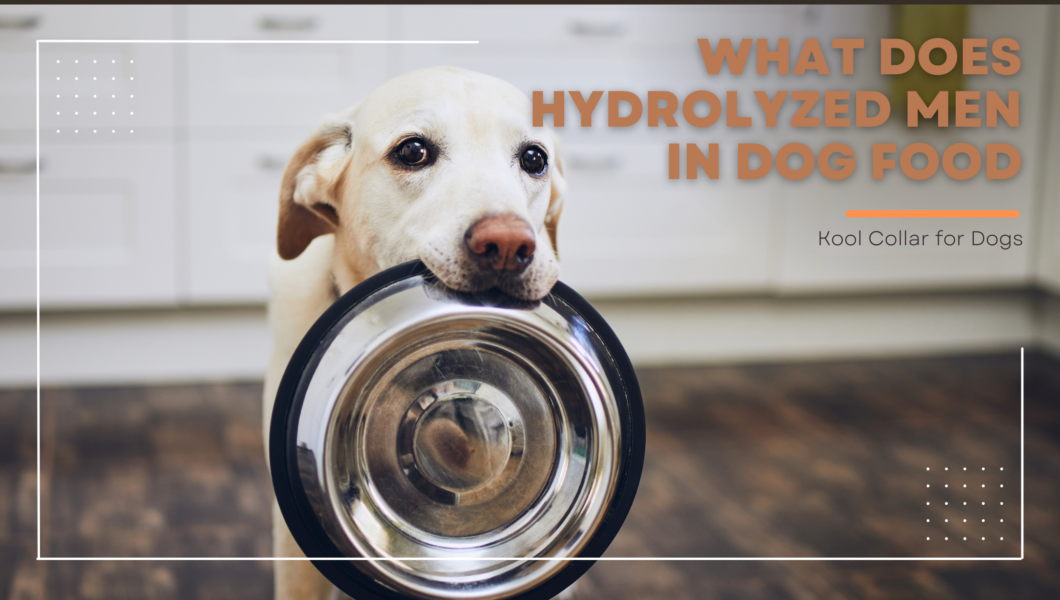 what does hydrolyzed mean in dog food