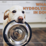 what does hydrolyzed mean in dog food