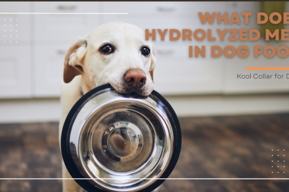 what does hydrolyzed mean in dog food