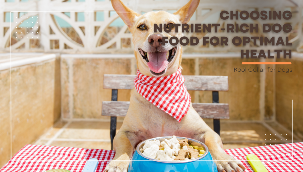 Choosing Nutrient Rich Dog Food for Optimal Health