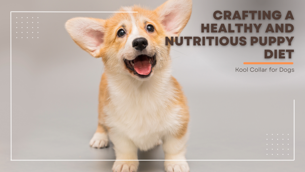 Crafting a Healthy and Nutritious Puppy Diet