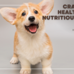 Crafting a Healthy and Nutritious Puppy Diet