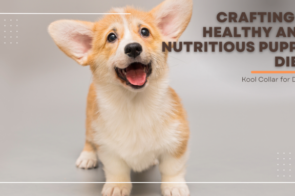 Crafting a Healthy and Nutritious Puppy Diet