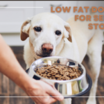 Low Fat Dog Food for Sensitive Stomachs