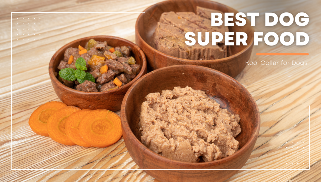 best dog superfood