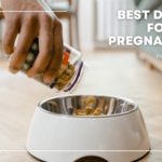 best dry dog food for pregnant dog